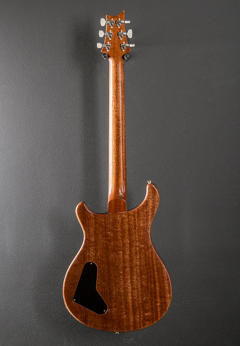 Paul's Guitar 10 Top '25