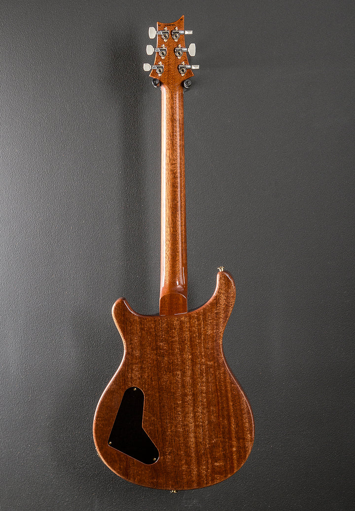 Paul's Guitar 10 Top '25