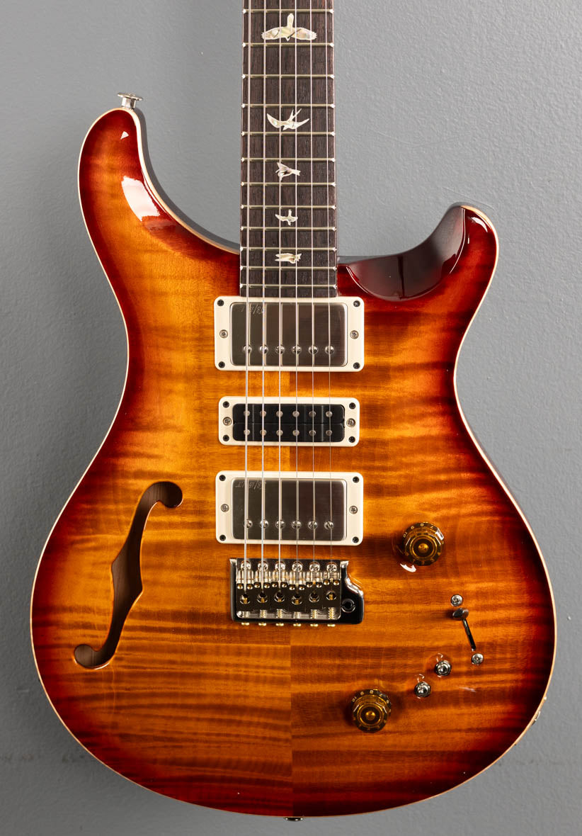 Special Semi-Hollow - Dark Cherry Sunburst