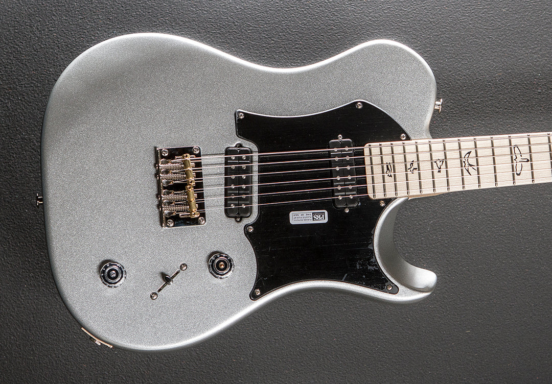 Myles Kennedy - Platinum Metallic