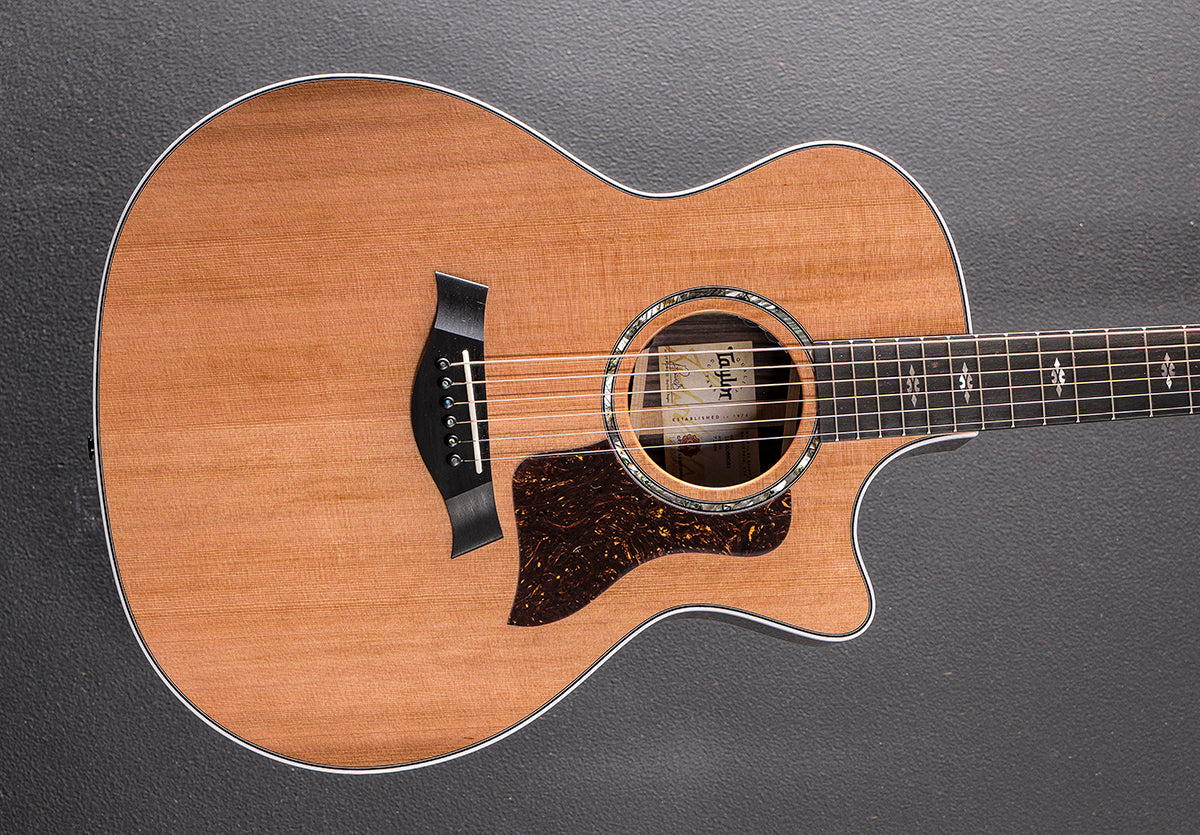 Next Generation 714CE '26 – Dave's Guitar Shop