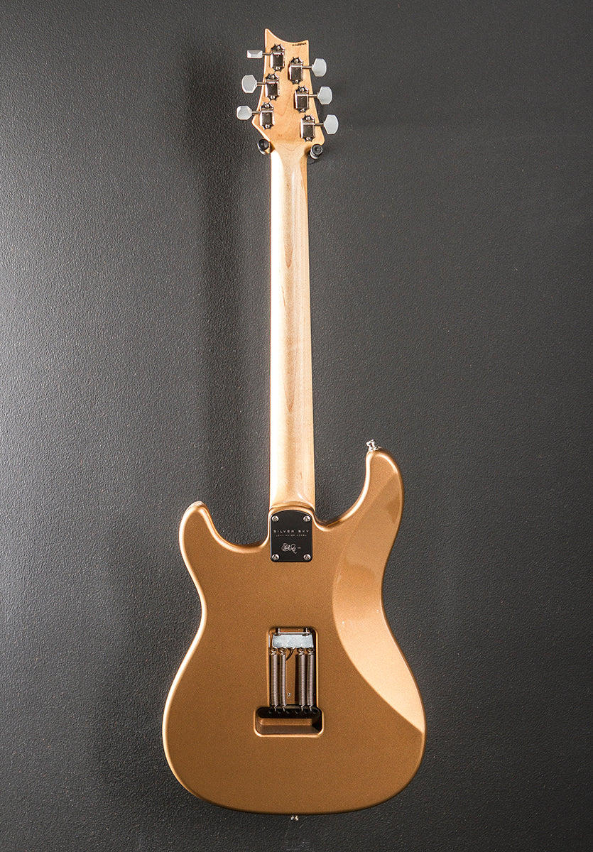 John Mayer Silver Sky w/Rosewood '19