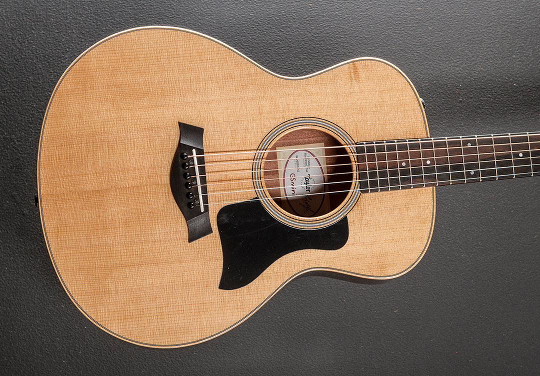 GS Mini-E Rosewood Plus '25