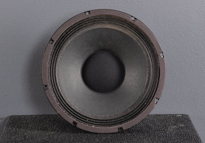 E10 10" Speaker, '07