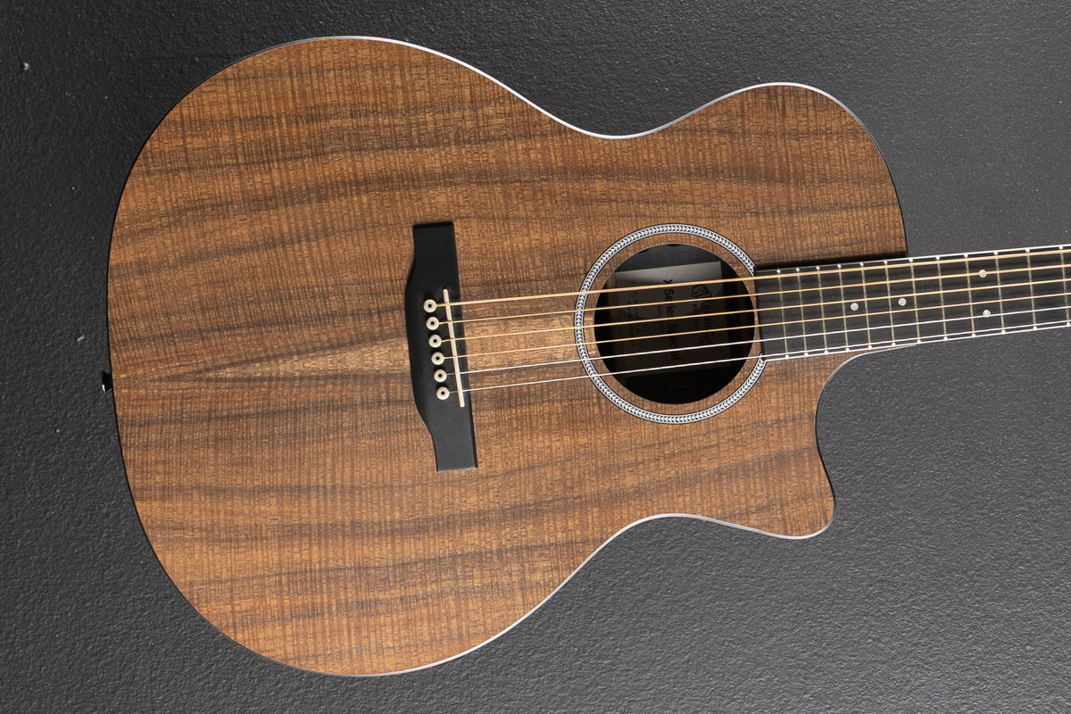 X Series Special Koa '23 – Dave's Guitar Shop