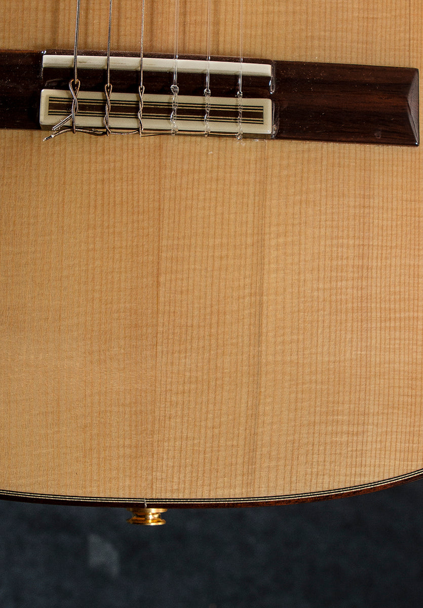 Espana Series 55FCE Classical, Recent