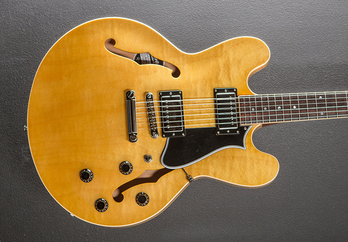 Standard Collection H-535 Semi-Hollow '23