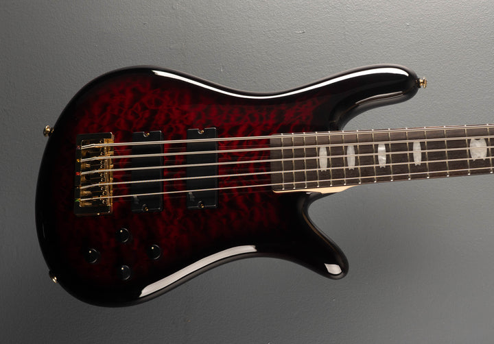 Icon NS-5 Bolt-On - Black Cherry Gloss