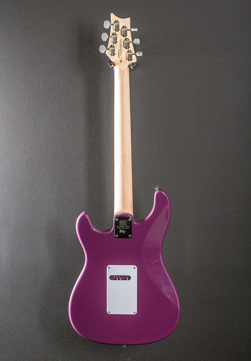 SE Silver Sky w/Maple '24