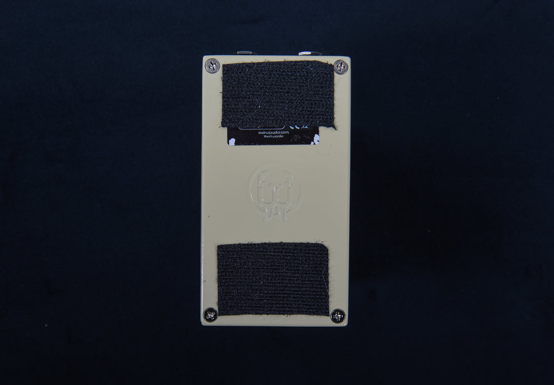 Eons Five-State Fuzz, Recent