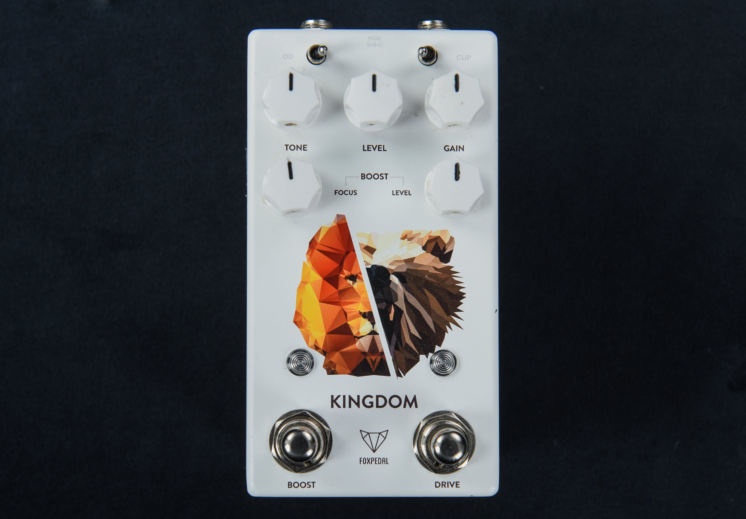 Kingdom, Recent – Dave's Guitar Shop