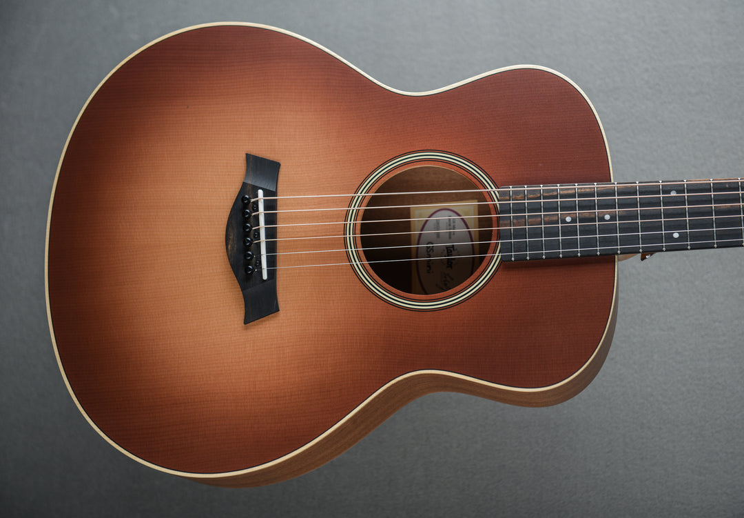 GS Mini-e Special Edition