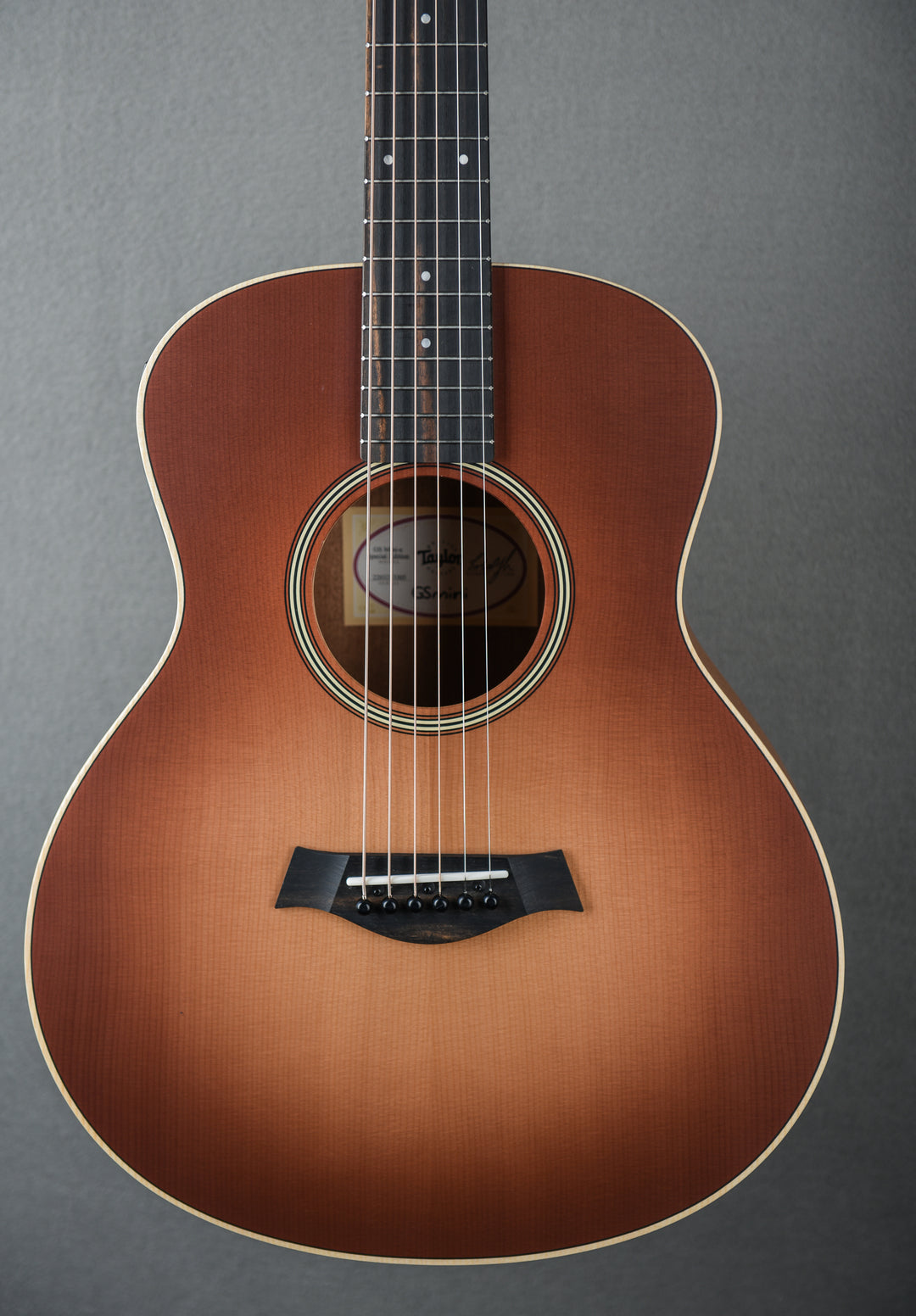 GS Mini-e Special Edition