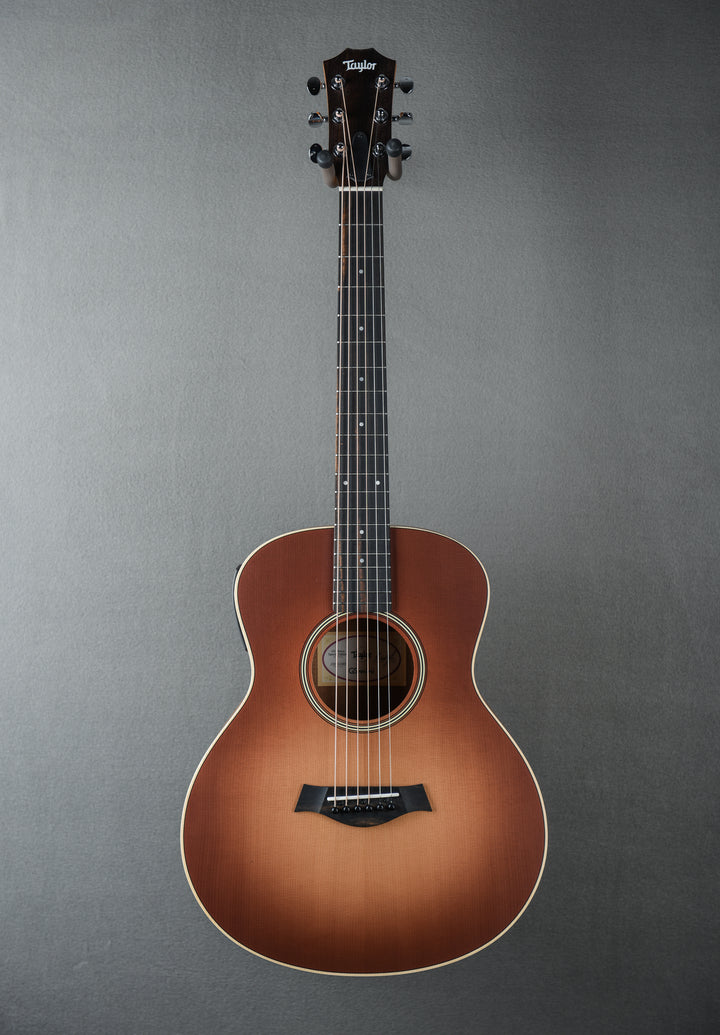 GS Mini-e Special Edition