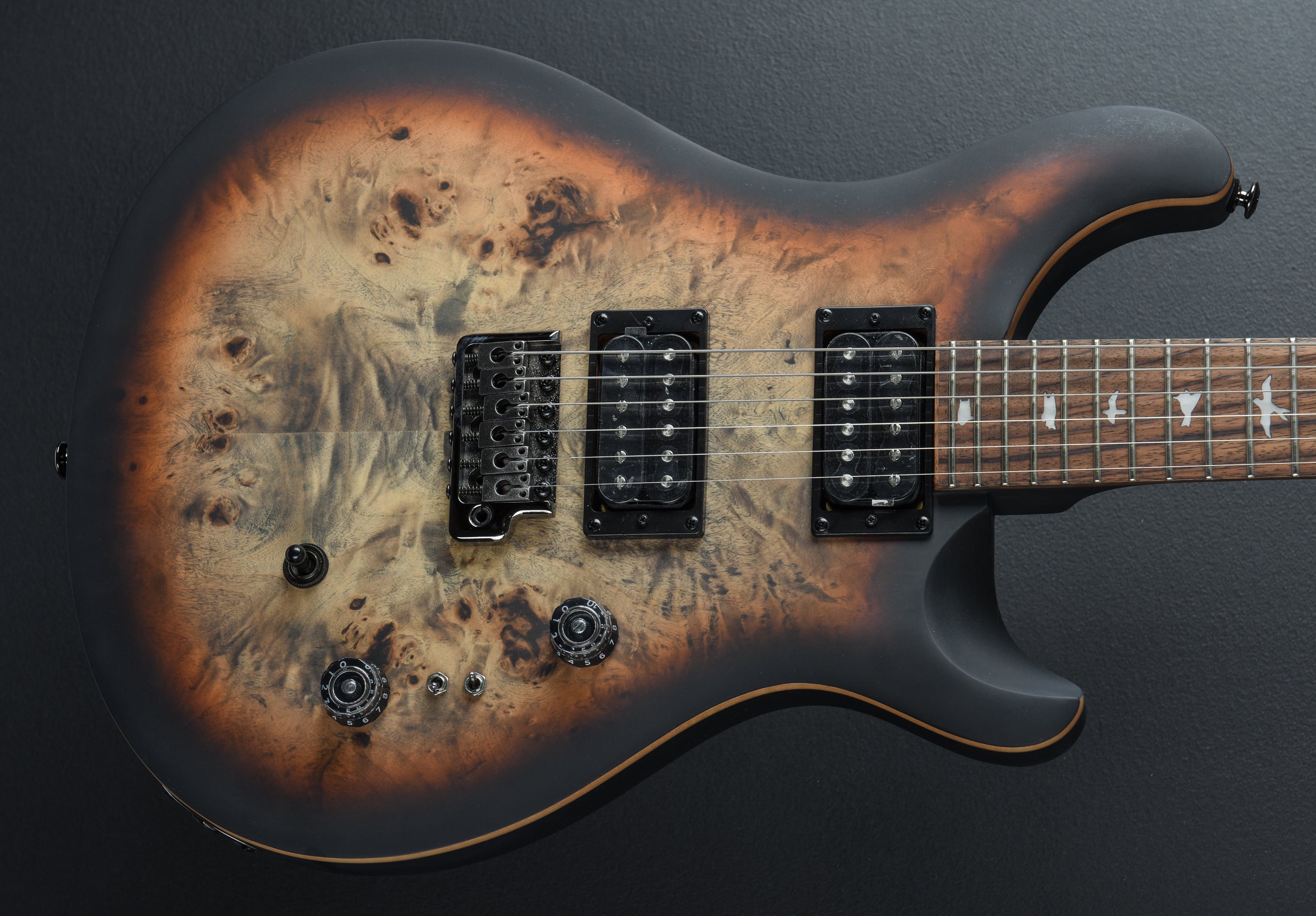 SE Custom 24-08 Poplar Burl Limited Edition '24 – Dave's Guitar Shop