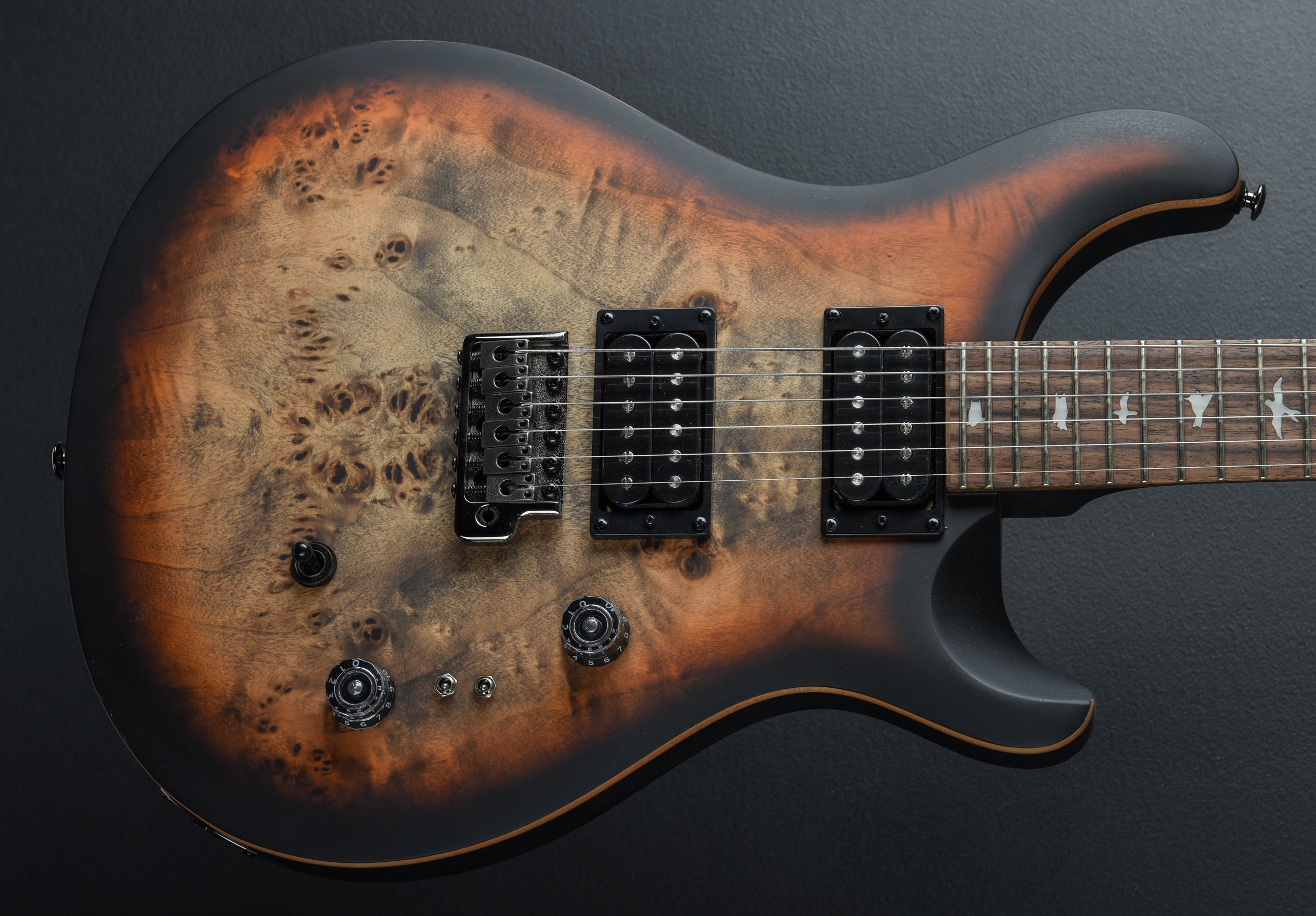 SE Custom 24-08 Poplar Burl Limited Edition '24 – Dave's Guitar Shop