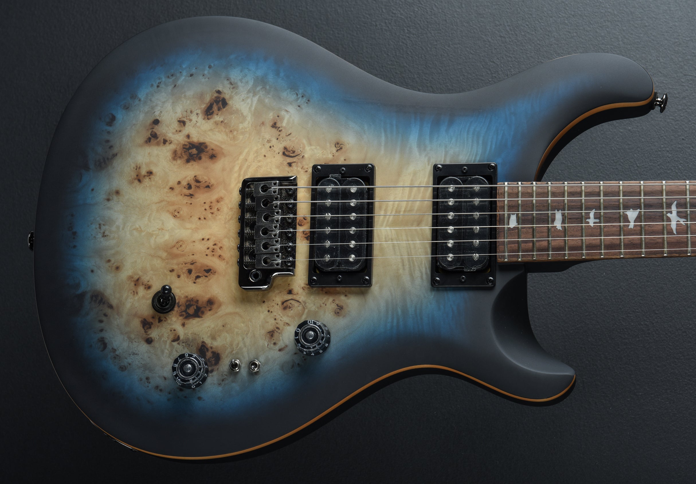 SE Custom 24-08 Poplar Burl Limited Edition '24 – Dave's Guitar Shop