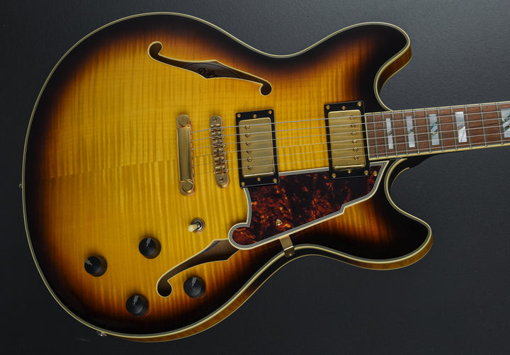 Excel Series - Double Cutaway Special 'Recent