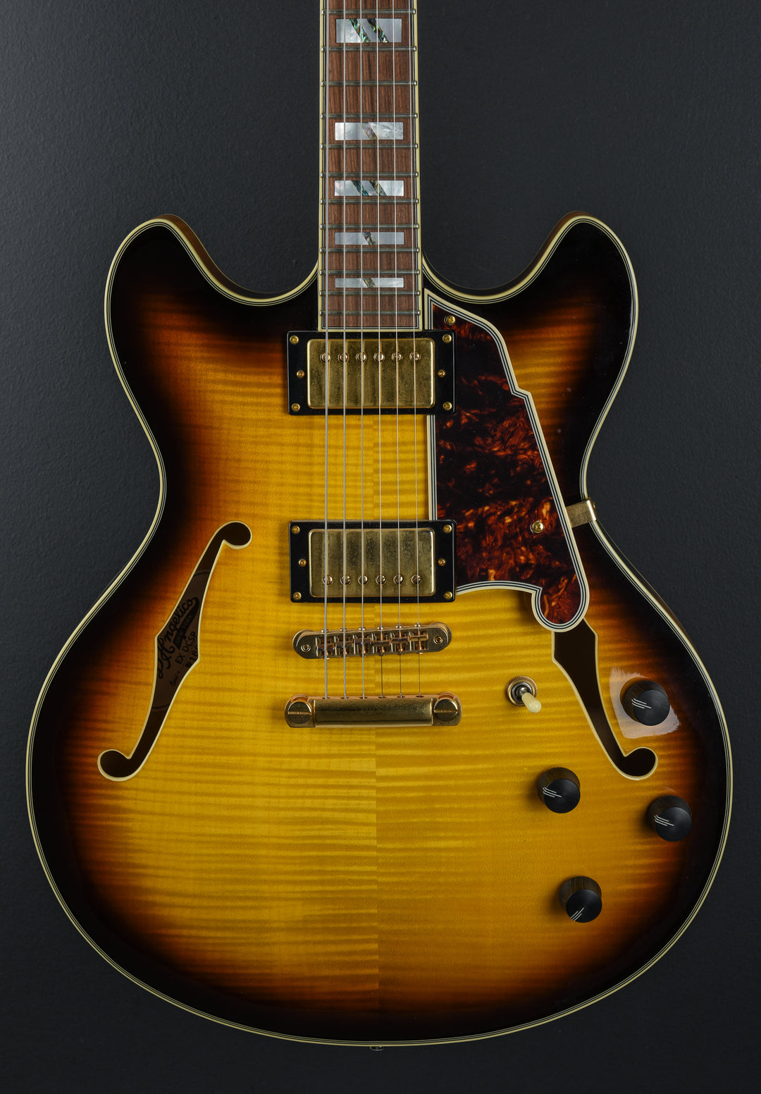 Excel Series - Double Cutaway Special 'Recent