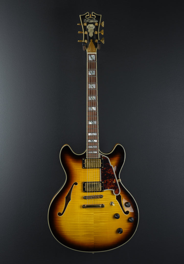 Excel Series - Double Cutaway Special 'Recent