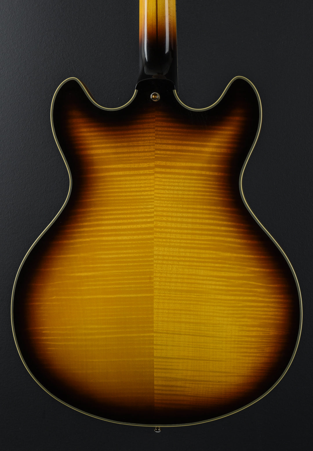 Excel Series - Double Cutaway Special 'Recent