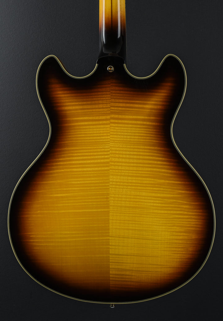 Excel Series - Double Cutaway Special 'Recent