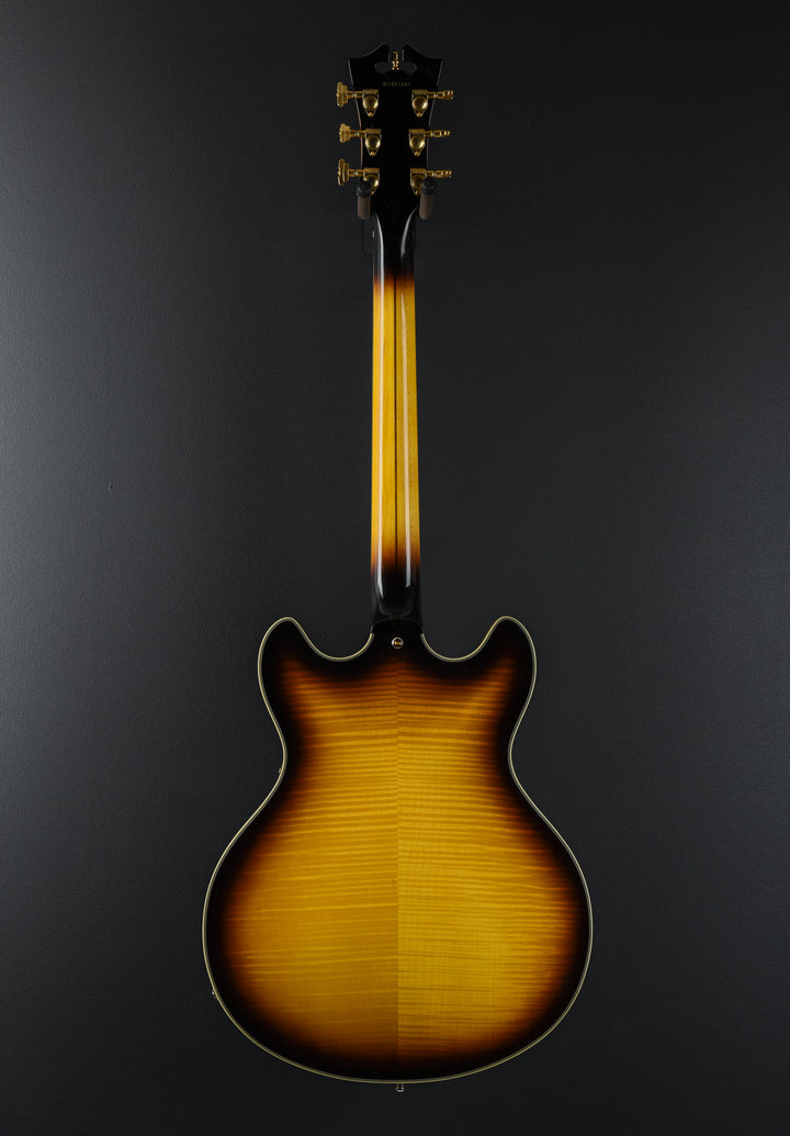 Excel Series - Double Cutaway Special 'Recent