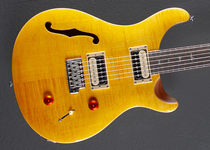 SE Custom 22 Semi-Hollow '22
