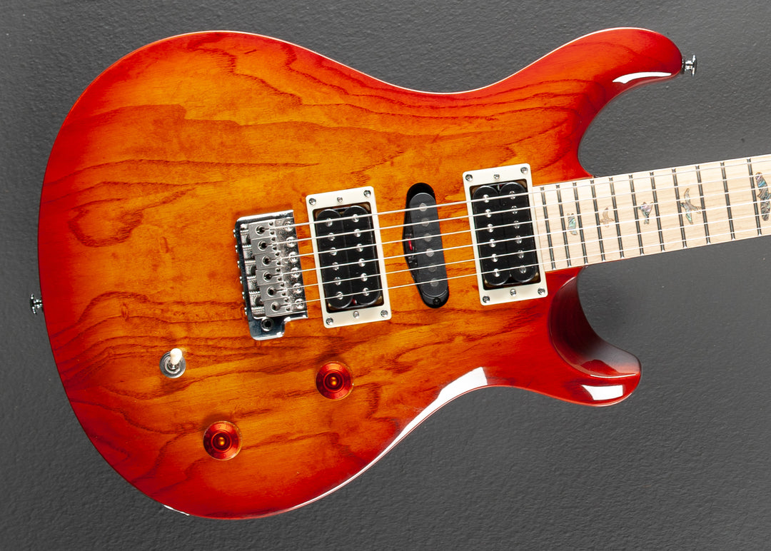 SE Swamp Ash Special '23