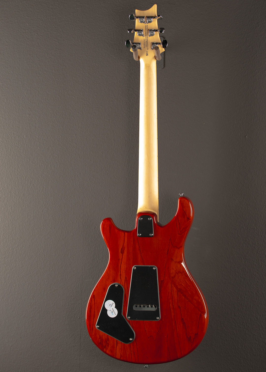 SE Swamp Ash Special '23