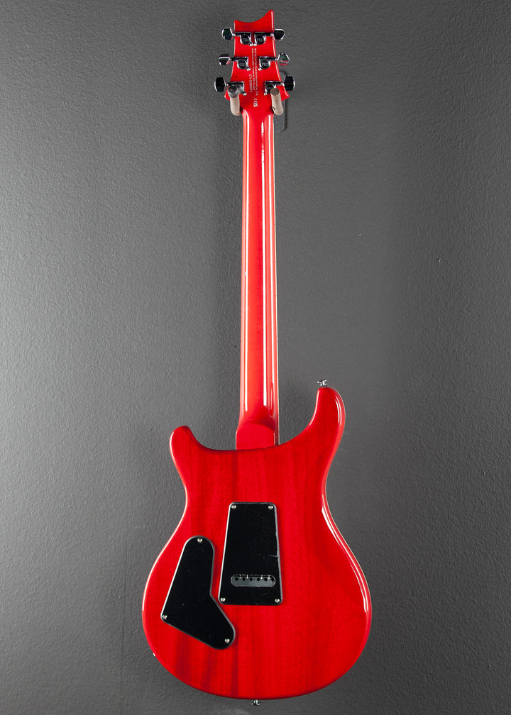 SE Custom 24-08, '24