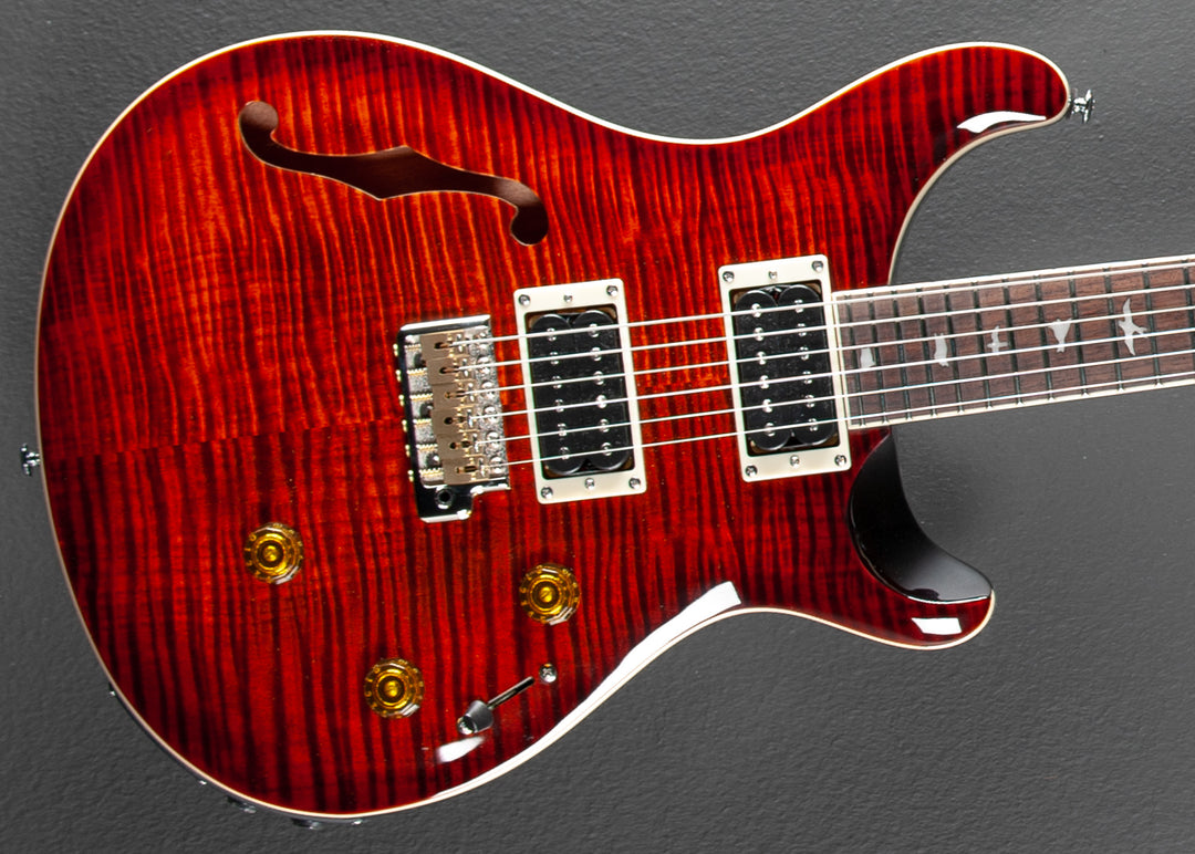 SE Custom 24 Semi Hollow Piezo '24