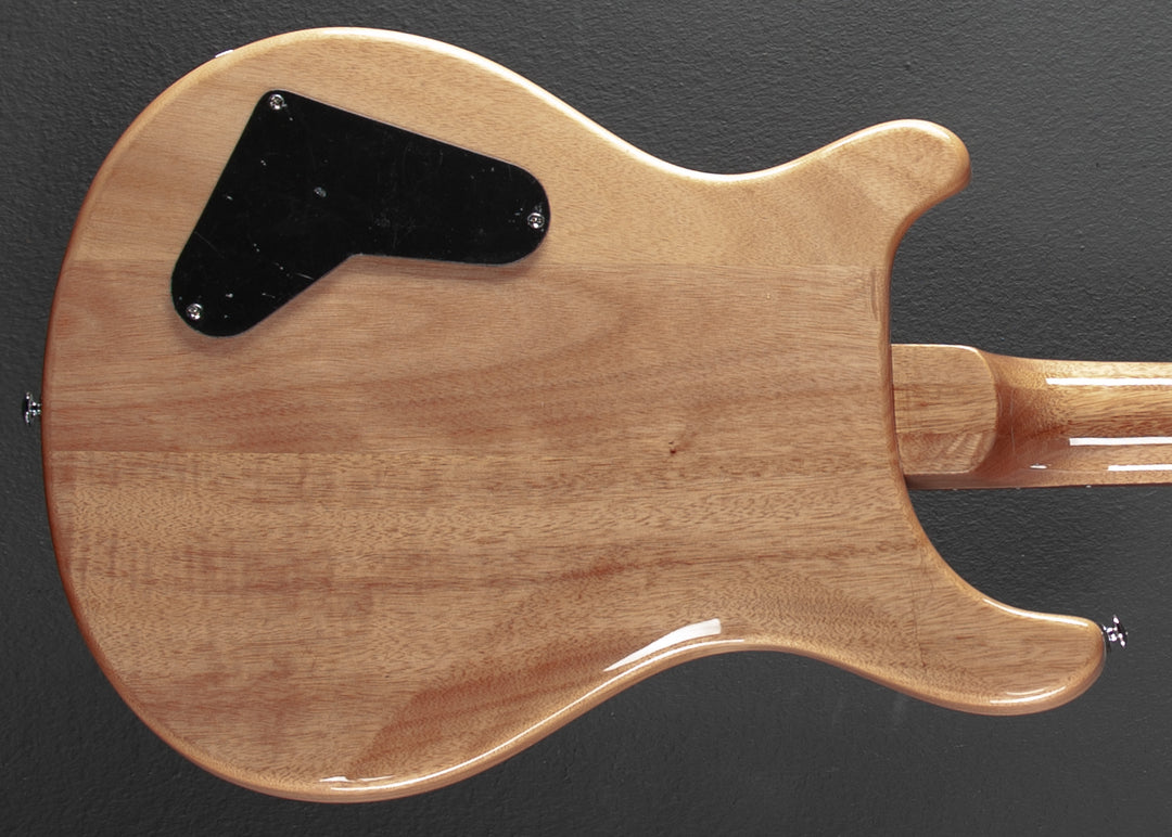 SE Paul's Guitar '22