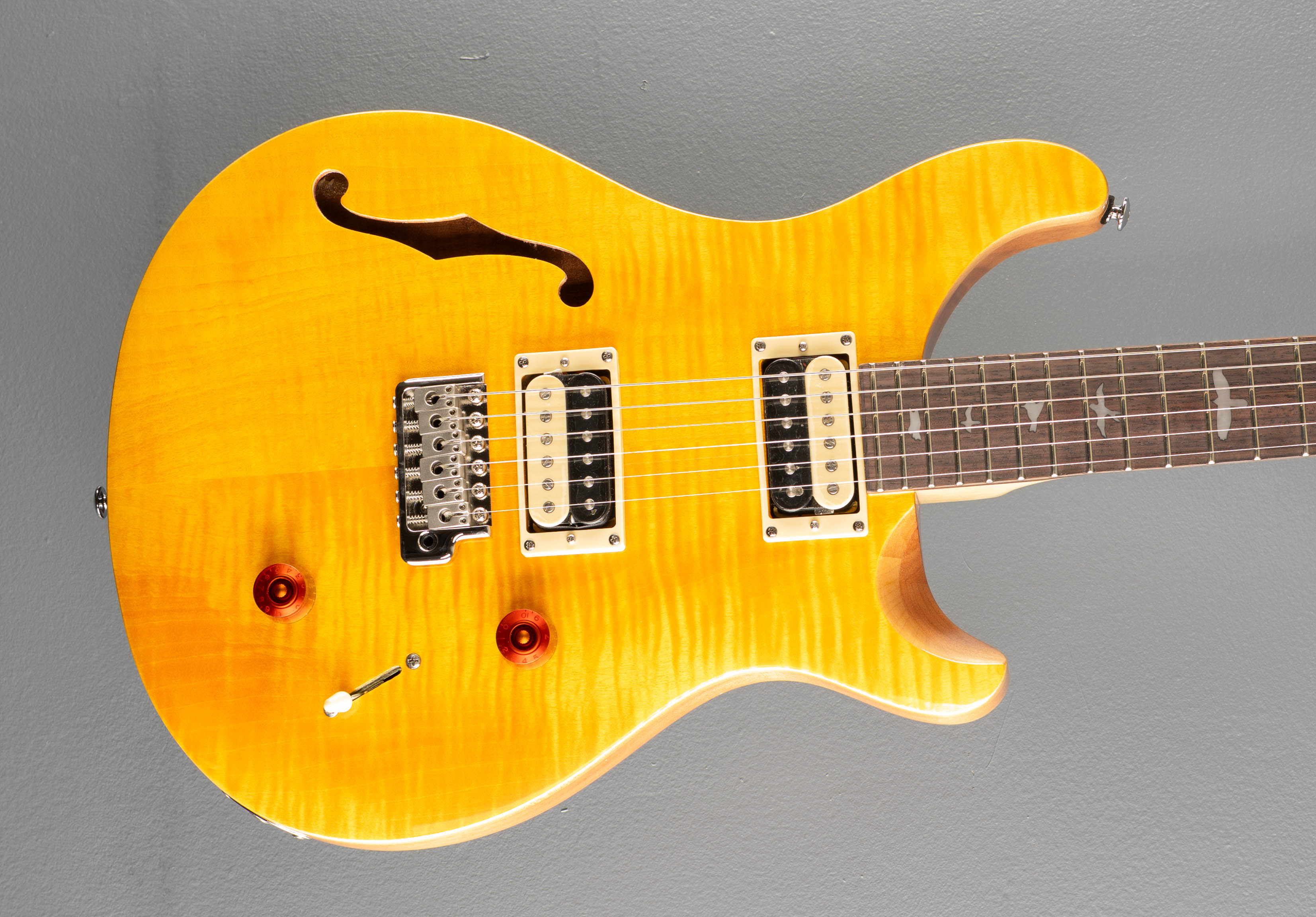 SE Custom 22 Semi-Hollow '22 – Dave's Guitar Shop