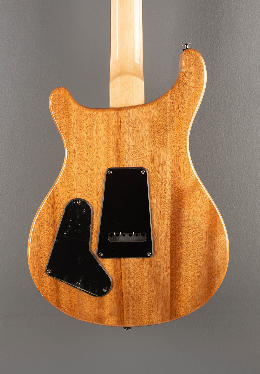 SE Custom 22 Semi-Hollow, '22