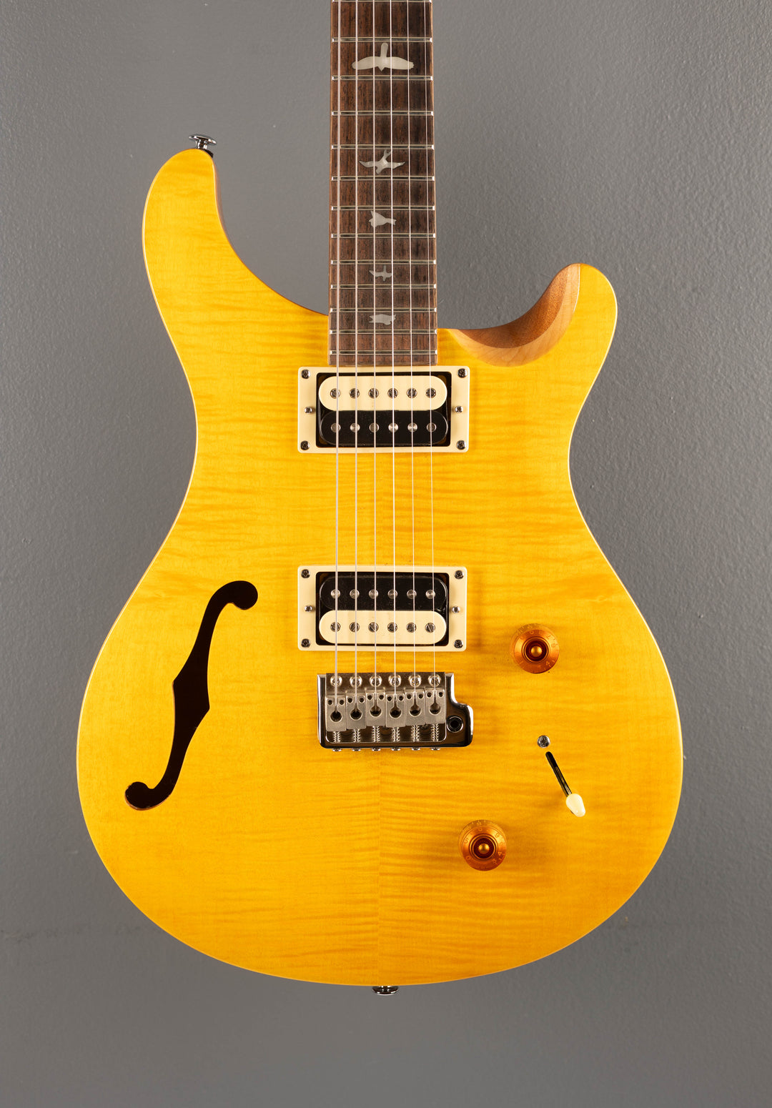 SE Custom 22 Semi-Hollow, '22