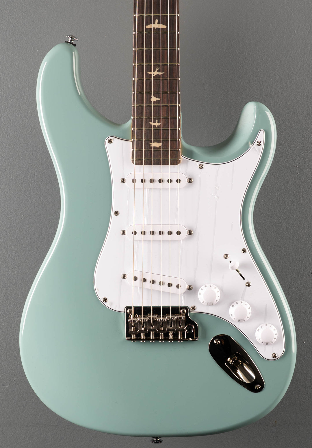 SE Silver Sky w/Rosewood, '22