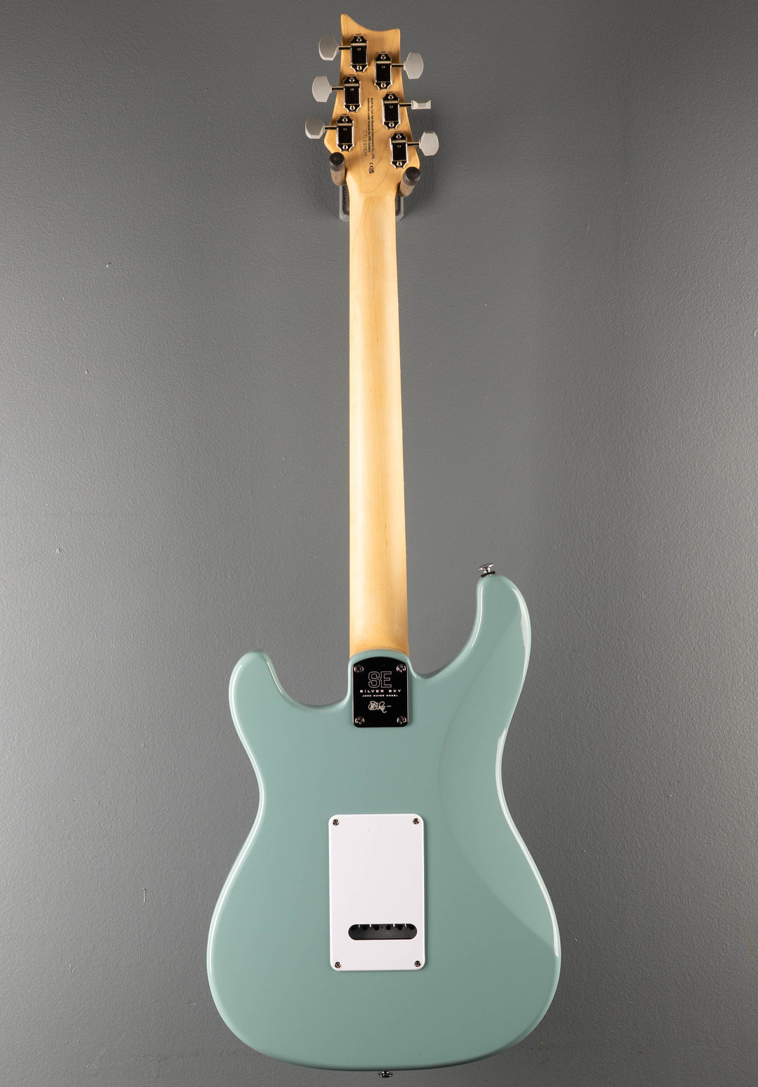 SE Silver Sky w/Rosewood, '22