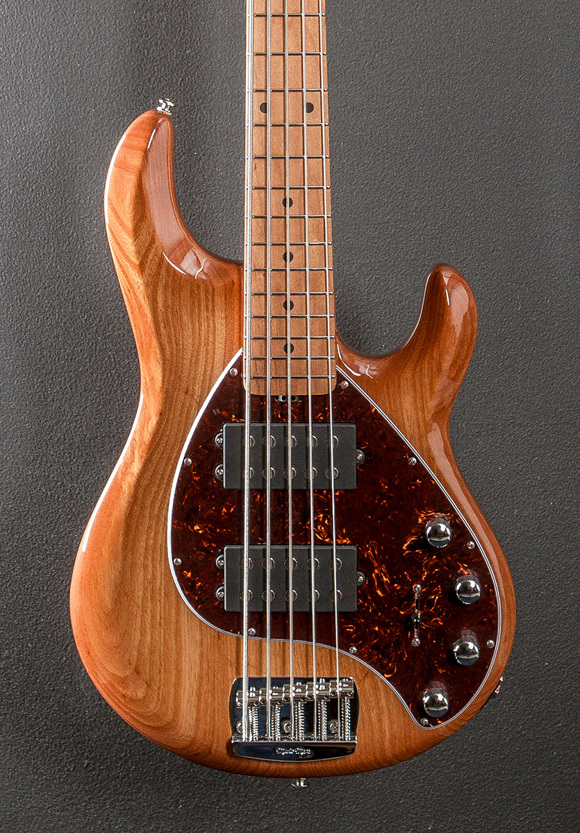 StingRay Special 5 HH Bass - Hot Honey