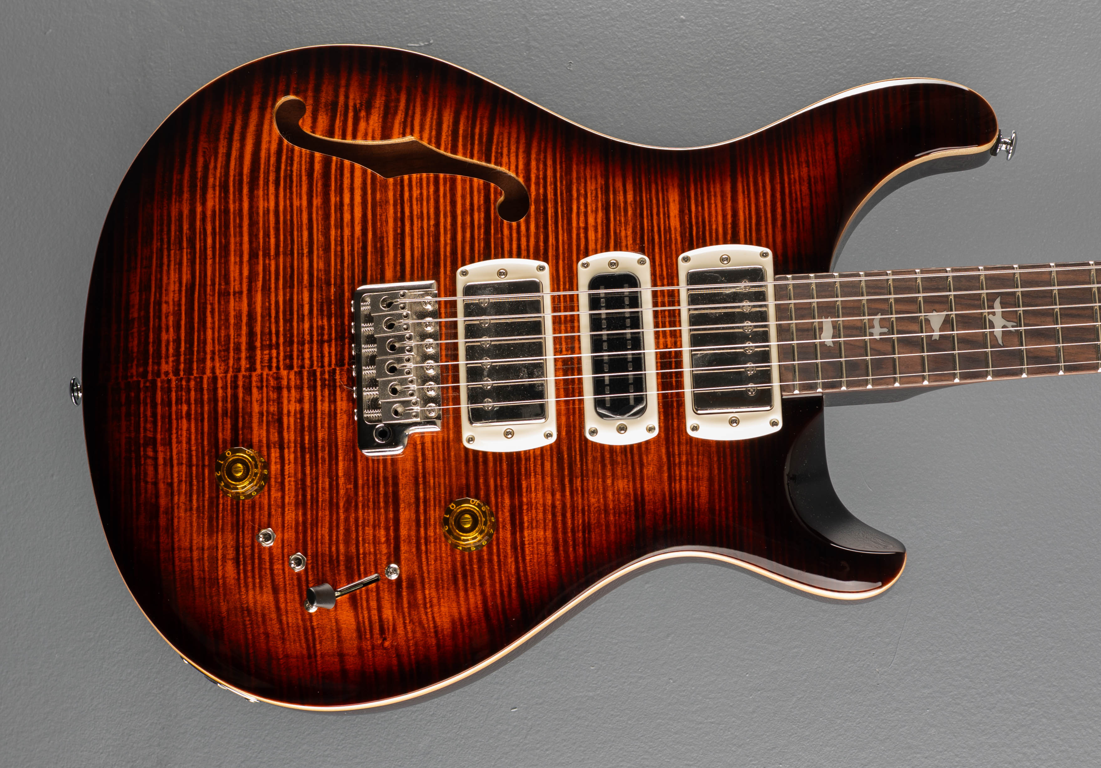 SE Special Semi Hollow, '25 – Dave's Guitar Shop