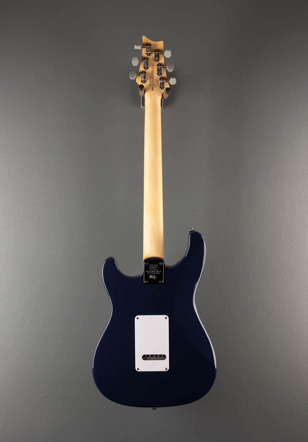 SE Silver Sky w/Rosewood, '25