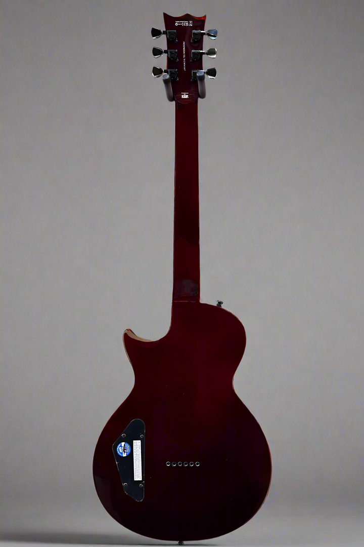 LTD EC-201FT - See Through Black Cherry