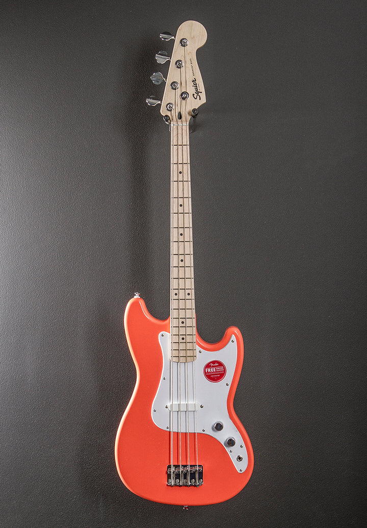 Sonic Bronco Bass - Tahitian Coral w/Maple