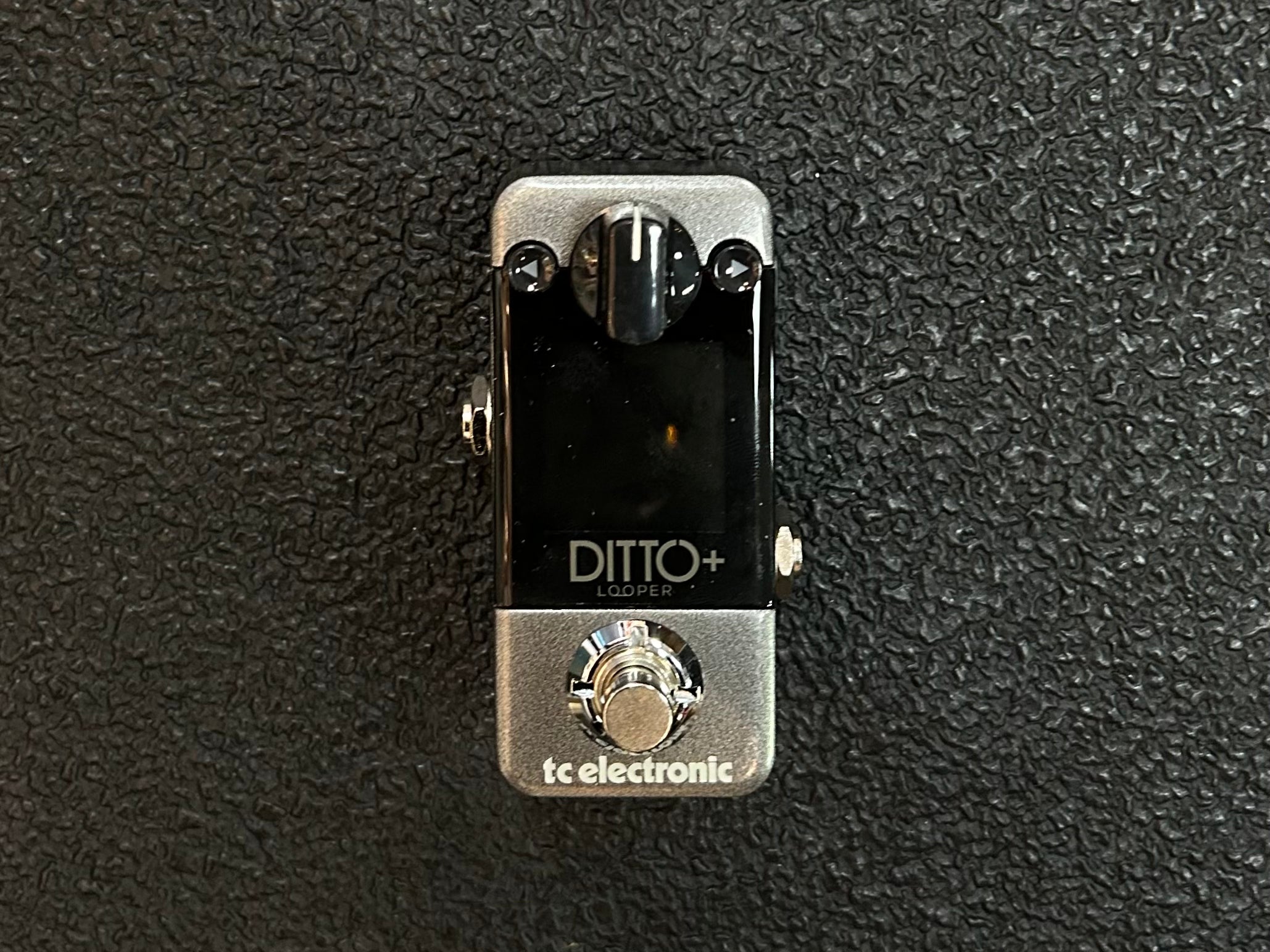 Ditto+, Recent – Dave's Guitar Shop