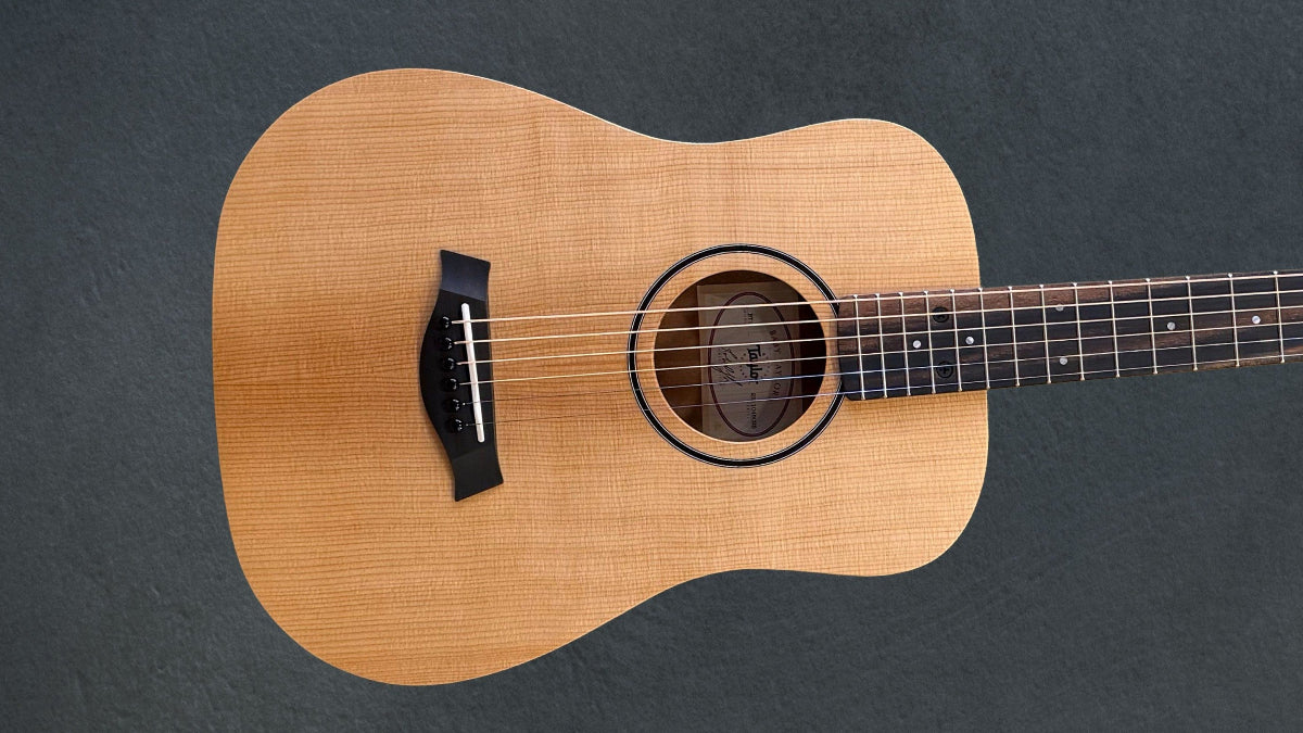 Baby Taylor (BT1) '25 – Dave's Guitar Shop