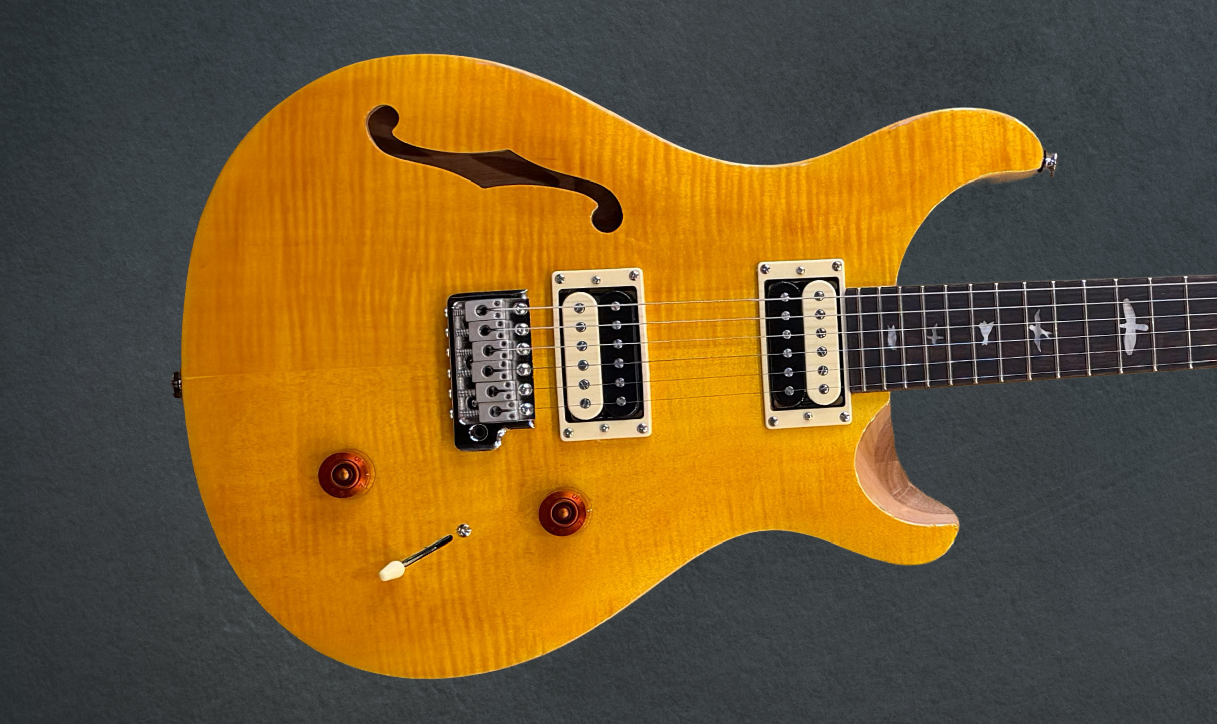 SE Custom 22 Semi-Hollow '22 – Dave's Guitar Shop