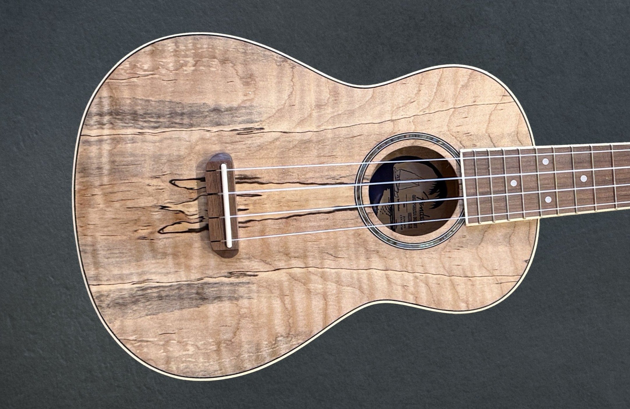 ZUMA EXOTIC CONCERT UKULELE – Dave's Guitar Shop