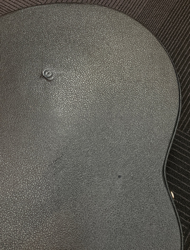 Custom Shop Les Paul Case, Recent