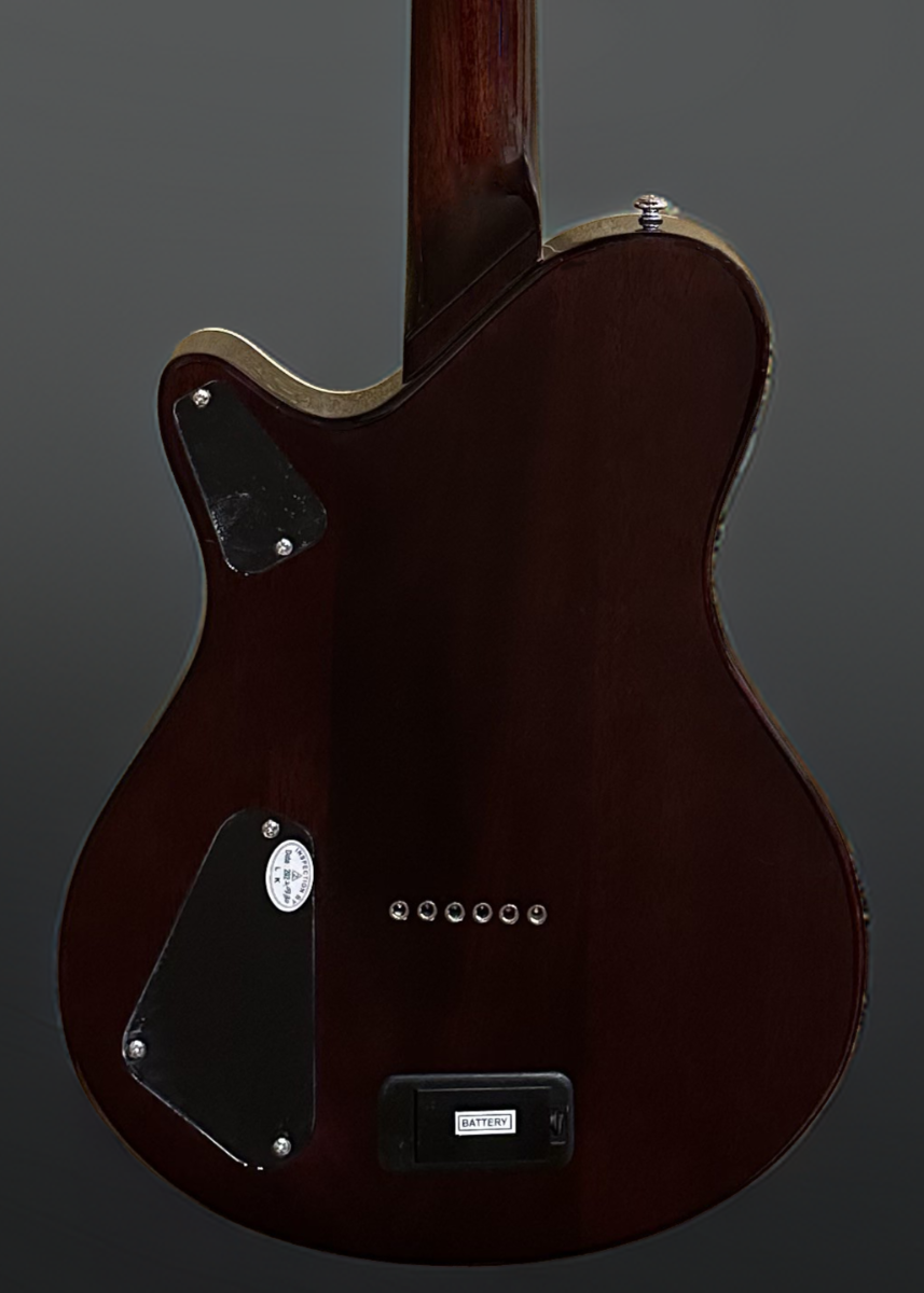 Hybrid Special - Spalted Maple Burst