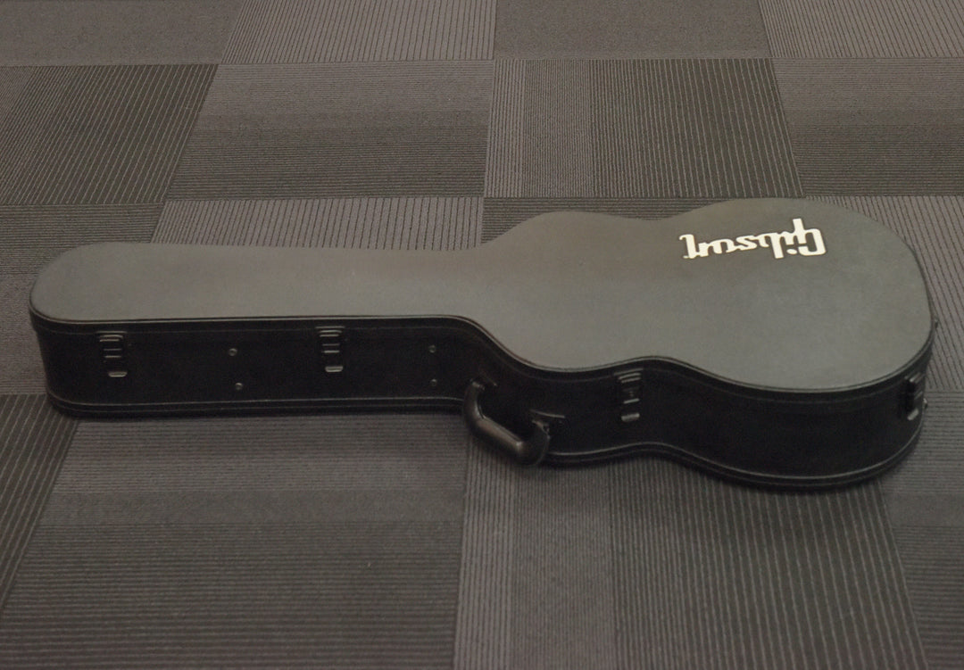 L-00/LG-2 Modern Case, Recent